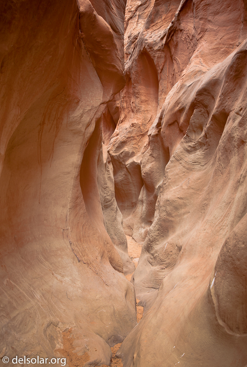 Canon EOS 5D Mark II  --  35 mm  --  EF24-105mm f/4L IS USM  