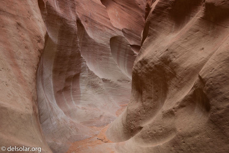 Canon EOS 5D Mark II  --  45 mm  --  EF24-105mm f/4L IS USM  