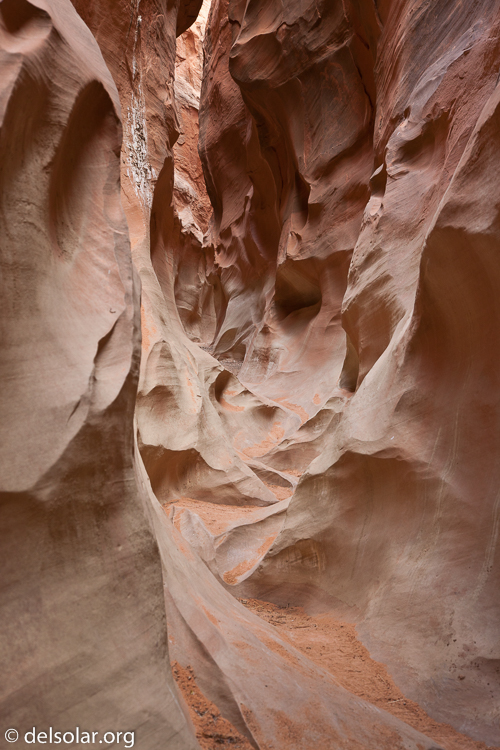 Canon EOS 5D Mark II  --  60 mm  --  EF24-105mm f/4L IS USM  