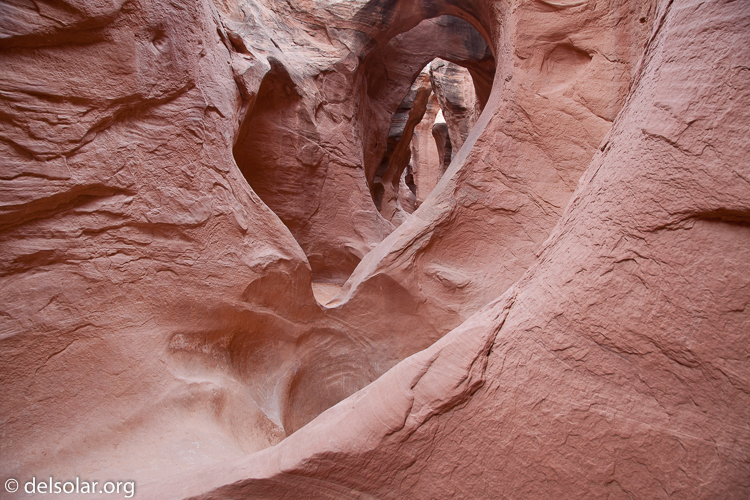 Canon EOS 5D Mark II  --  24 mm  --  EF24-105mm f/4L IS USM  