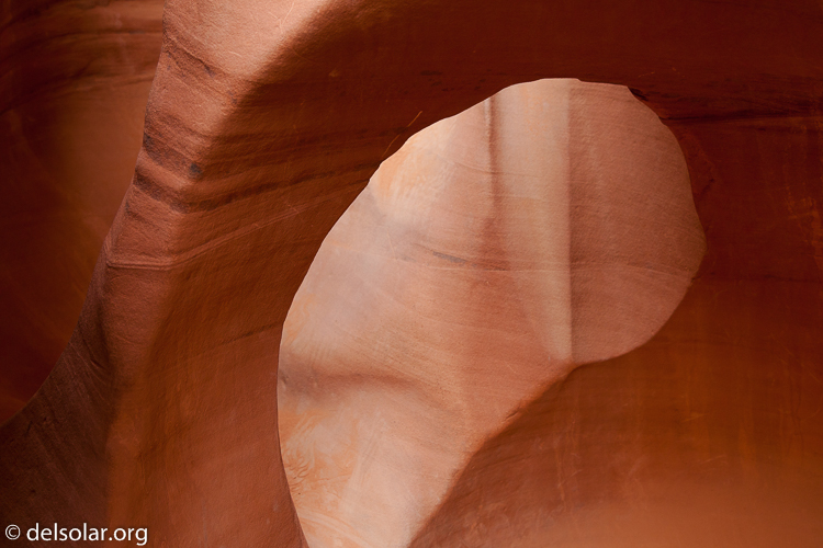 Canon EOS 5D Mark II  --  50 mm  --  EF24-105mm f/4L IS USM  