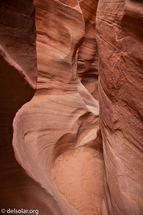 Canon EOS 5D Mark II  --  24 mm  --  EF24-105mm f/4L IS USM  