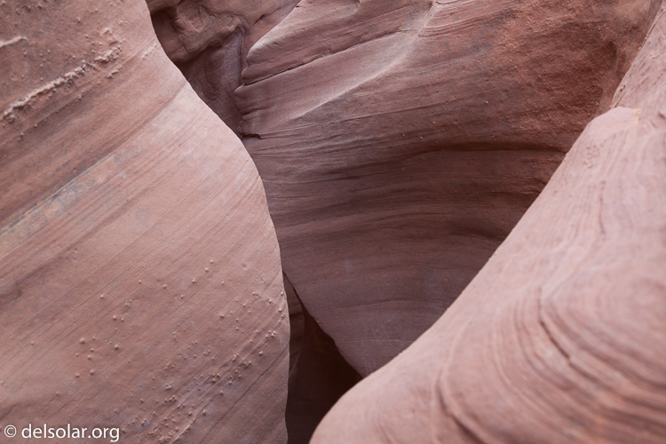 Canon EOS 5D Mark II  --  47 mm  --  EF24-105mm f/4L IS USM  