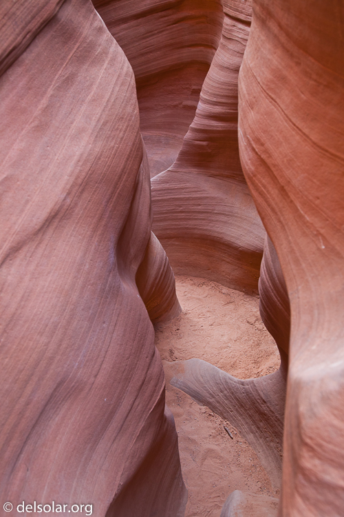 Canon EOS 5D Mark II  --  35 mm  --  EF24-105mm f/4L IS USM  