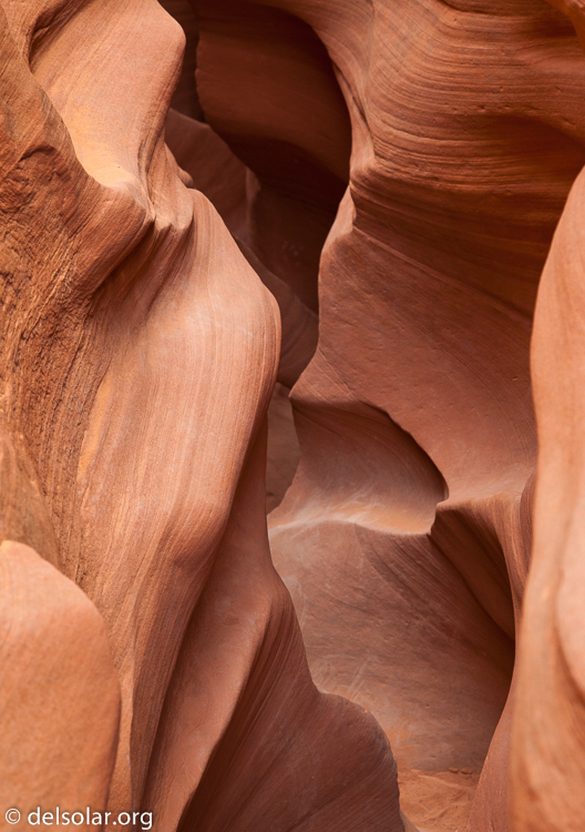 Canon EOS 5D Mark II  --  67 mm  --  EF24-105mm f/4L IS USM  