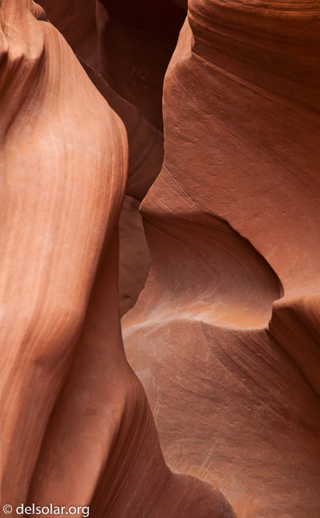 Canon EOS 5D Mark II  --  90 mm  --  EF24-105mm f/4L IS USM  