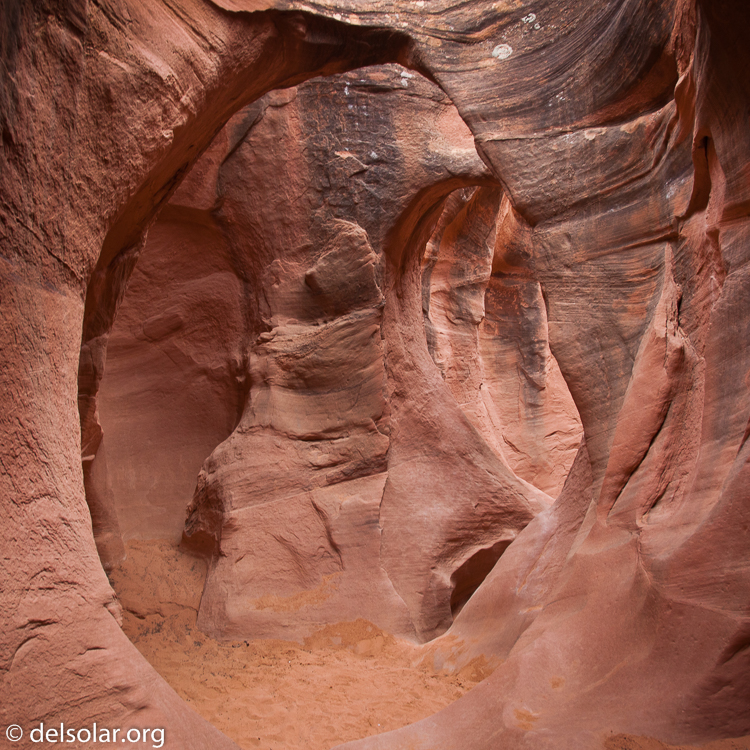 Canon EOS 5D Mark II  --  24 mm  --  EF24-105mm f/4L IS USM  