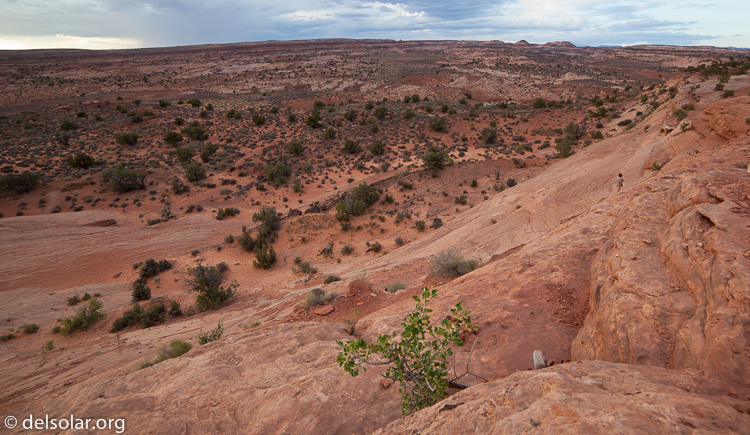 Canon EOS 5D Mark II  --  14 mm  --  14-14mm  