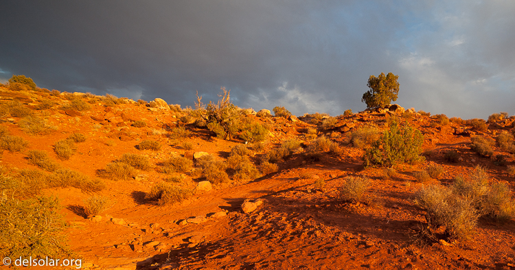 Canon EOS 5D Mark II  --  14 mm  --  14-14mm  