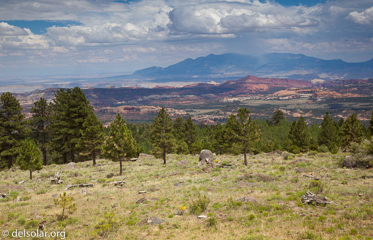 Canon EOS 5D Mark II  --  50 mm  --  EF24-105mm f/4L IS USM  