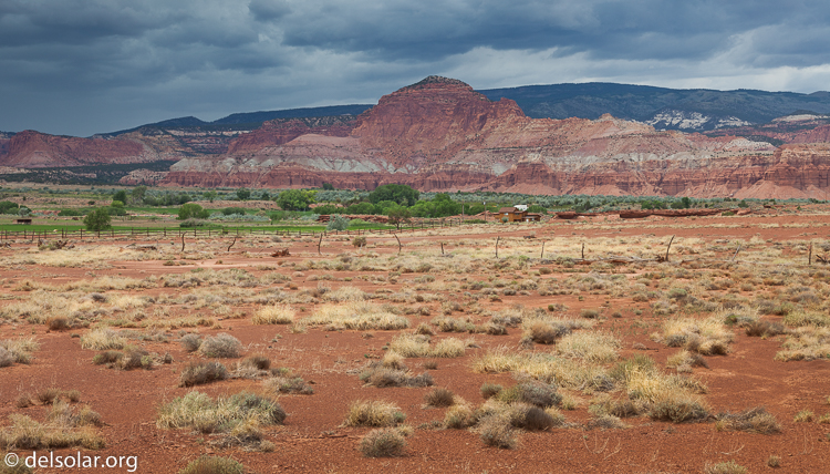 Canon EOS 5D Mark II  --  55 mm  --  EF24-105mm f/4L IS USM  