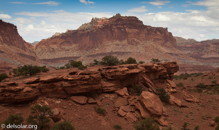 Canon EOS 5D Mark II  --  47 mm  --  EF24-105mm f/4L IS USM  