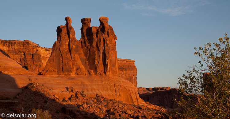 Canon EOS 5D Mark II  --  50 mm  --  EF24-105mm f/4L IS USM  