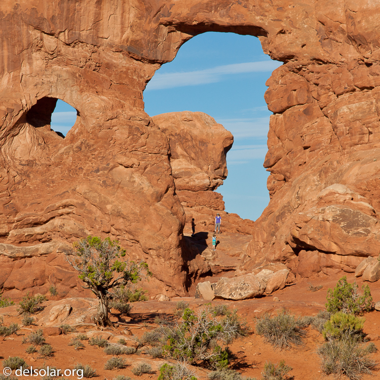 Canon EOS 5D Mark II  --  88 mm  --  EF24-105mm f/4L IS USM  