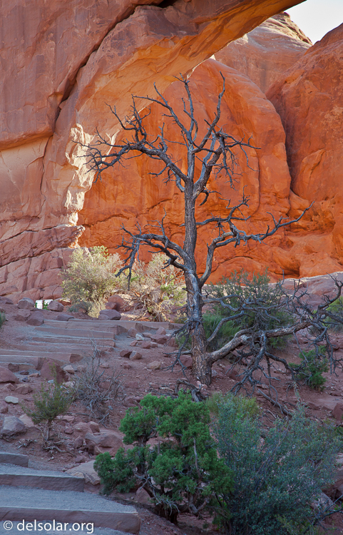 Canon EOS 5D Mark II  --  105 mm  --  EF24-105mm f/4L IS USM  