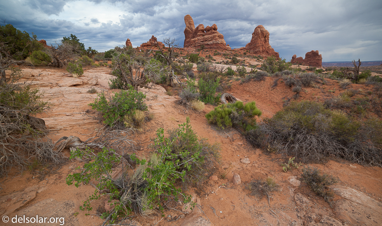 Canon EOS 5D Mark II  --  14 mm  --  14-14mm  