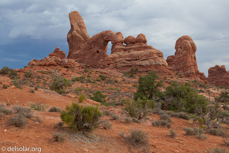 Canon EOS 5D Mark II  --  45 mm  --  EF24-105mm f/4L IS USM  