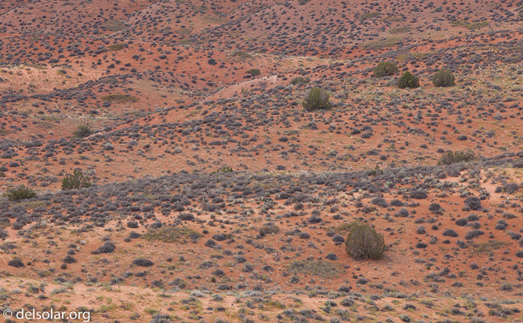 Canon EOS 5D Mark II  --  300 mm  --  EF300mm f/2.8L IS USM  