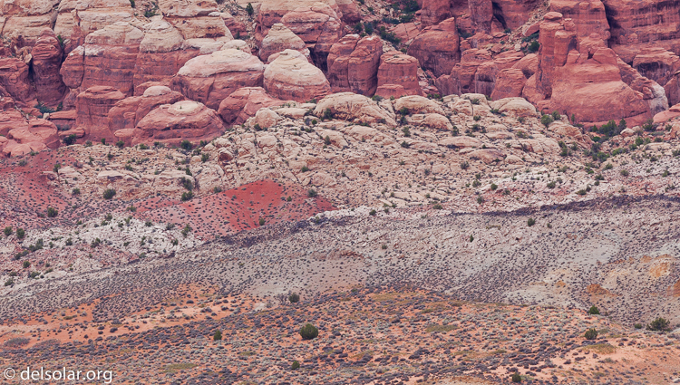 Canon EOS 5D Mark II  --  300 mm  --  EF300mm f/2.8L IS USM  