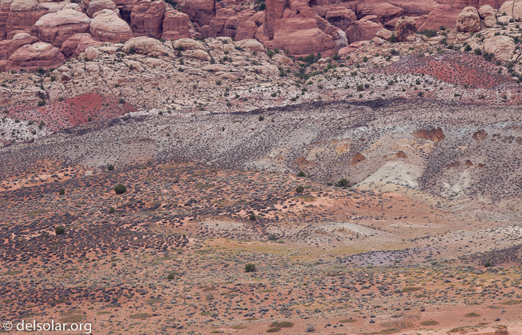 Canon EOS 5D Mark II  --  300 mm  --  EF300mm f/2.8L IS USM  