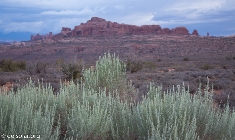 Canon EOS 5D Mark II  --  65 mm  --  EF24-105mm f/4L IS USM  