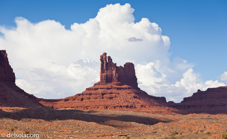 Canon EOS 5D Mark II  --  104 mm  --  EF70-200mm f/4L USM  