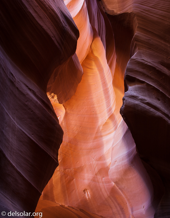 Canon EOS 5D Mark II  --  35 mm  --  EF24-105mm f/4L IS USM  