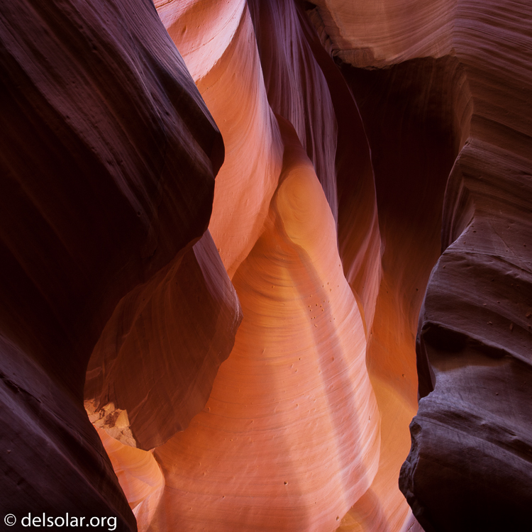 Canon EOS 5D Mark II  --  40 mm  --  EF24-105mm f/4L IS USM  