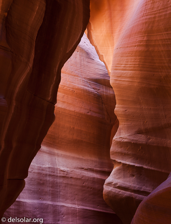 Canon EOS 5D Mark II  --  65 mm  --  EF24-105mm f/4L IS USM  