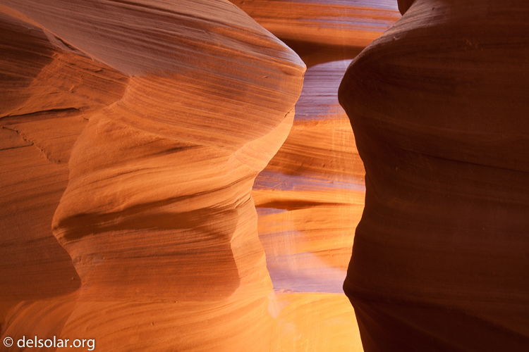 Canon EOS 5D Mark II  --  45 mm  --  EF24-105mm f/4L IS USM  