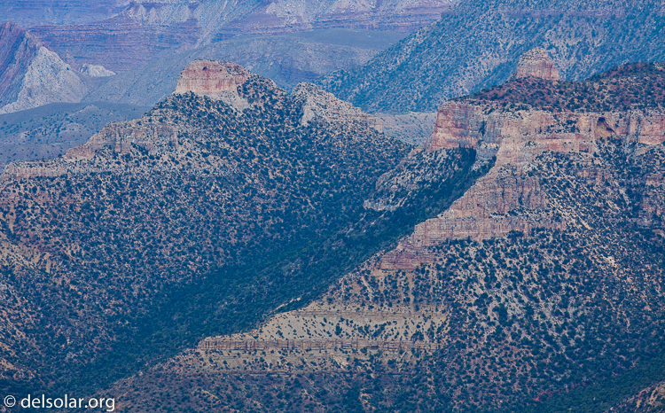 Canon EOS 5D Mark II  --  300 mm  --  EF300mm f/2.8L IS USM  