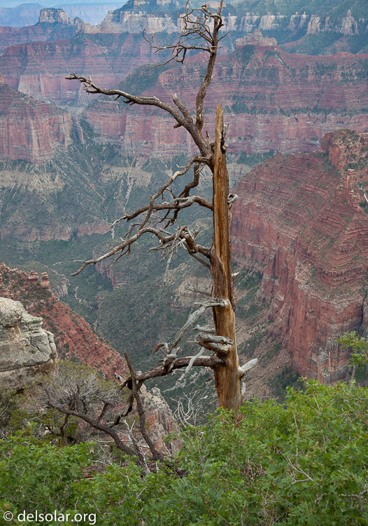 Canon EOS 5D Mark II  --  45 mm  --  EF24-105mm f/4L IS USM  