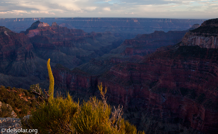 Canon EOS 5D Mark II  --  24 mm  --  EF24-105mm f/4L IS USM  