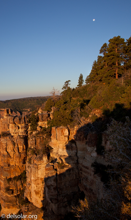 Canon EOS 5D Mark II  --  24 mm  --  EF24-105mm f/4L IS USM  