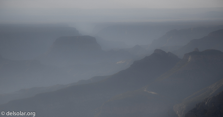 Canon EOS 5D Mark II  --  105 mm  --  EF24-105mm f/4L IS USM  