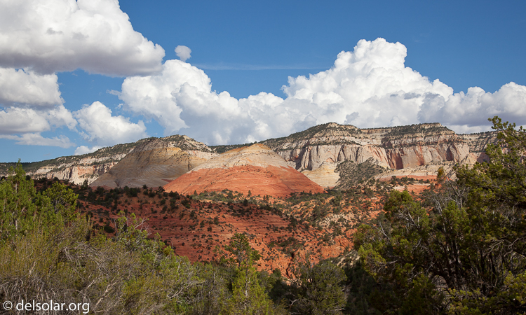 Canon EOS 5D Mark II  --  45 mm  --  EF24-105mm f/4L IS USM  