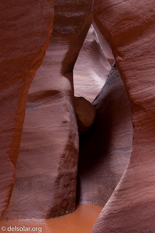 Canon EOS 5D Mark II  --  35 mm  --  EF24-105mm f/4L IS USM  