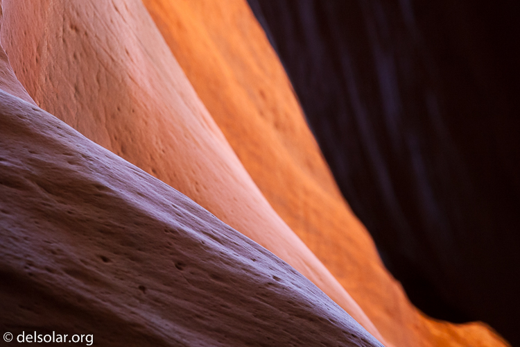 Canon EOS 5D Mark II  --  176 mm  --  EF70-200mm f/4L USM  