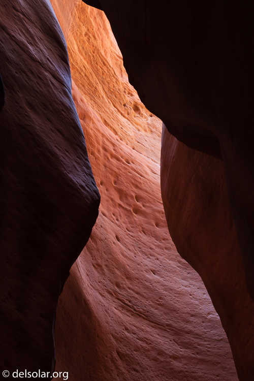 Canon EOS 5D Mark II  --  87 mm  --  EF70-200mm f/4L USM  