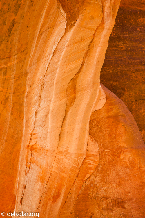 Canon EOS 5D Mark II  --  105 mm  --  EF24-105mm f/4L IS USM  