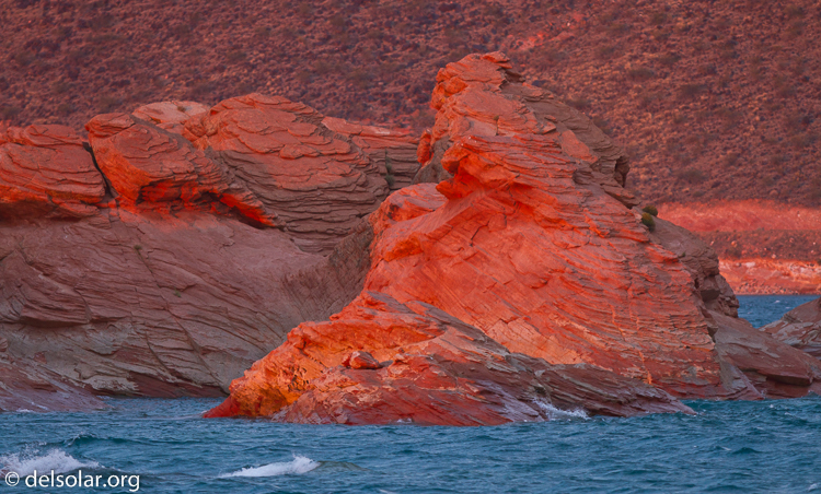 Canon EOS 7D  --  300 mm  --  EF300mm f/2.8L IS USM  