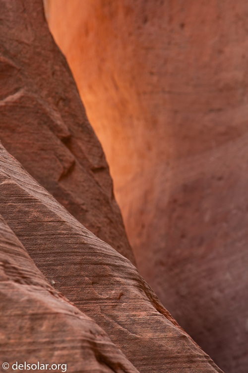 Canon EOS 5D Mark II  --  105 mm  --  EF24-105mm f/4L IS USM  