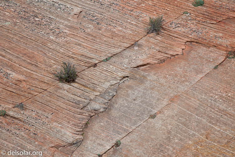 Canon EOS 5D Mark II  --  105 mm  --  EF24-105mm f/4L IS USM  