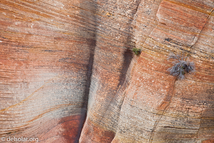 Canon EOS 5D Mark II  --  92 mm  --  EF24-105mm f/4L IS USM  