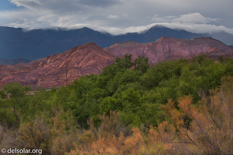 Canon EOS 5D Mark II  --  87 mm  --  EF70-200mm f/4L USM  