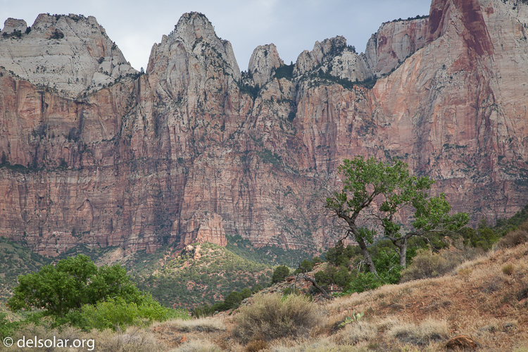 Canon EOS 5D Mark II  --  99 mm  --  EF24-105mm f/4L IS USM  