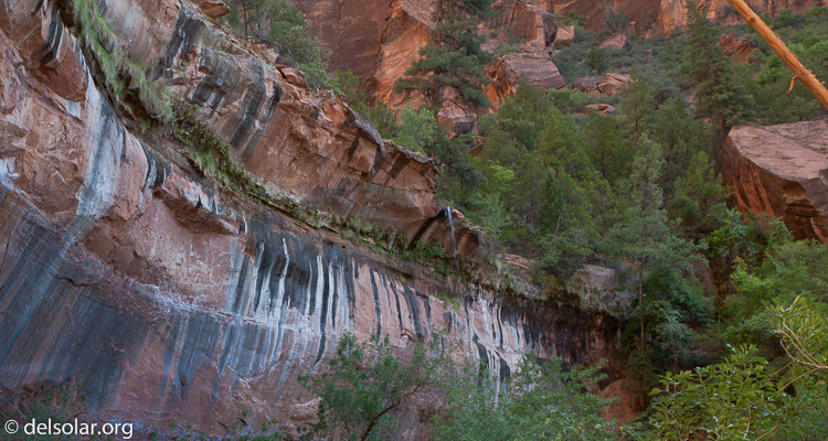 Canon EOS 5D Mark II  --  36 mm  --  EF17-40mm f/4L USM  