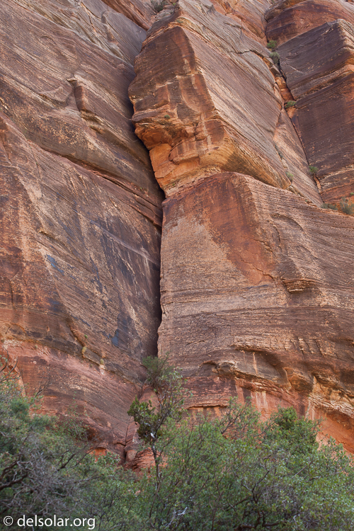 Canon EOS 5D Mark II  --  84 mm  --  EF70-200mm f/4L USM  