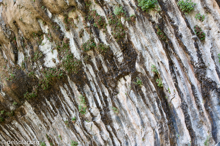 Canon EOS 5D Mark II  --  50 mm  --  EF24-105mm f/4L IS USM  