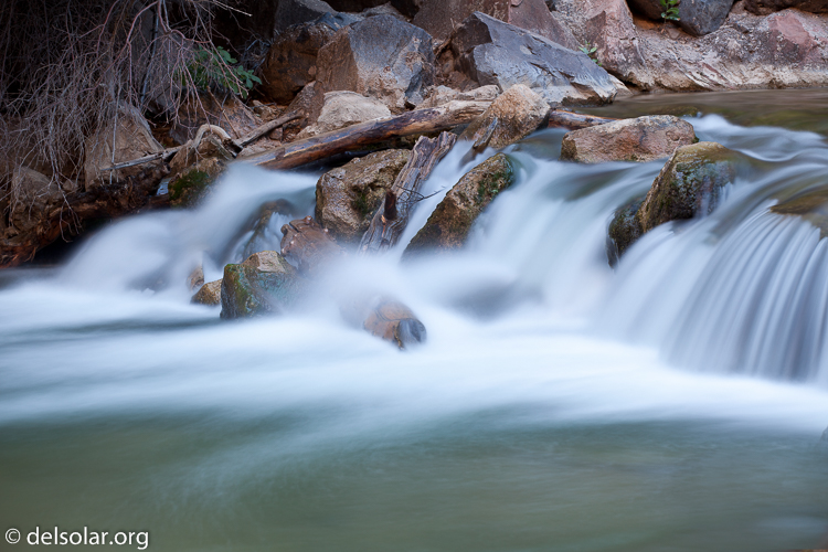 Canon EOS 5D Mark II  --  109 mm  --  EF70-200mm f/4L USM  